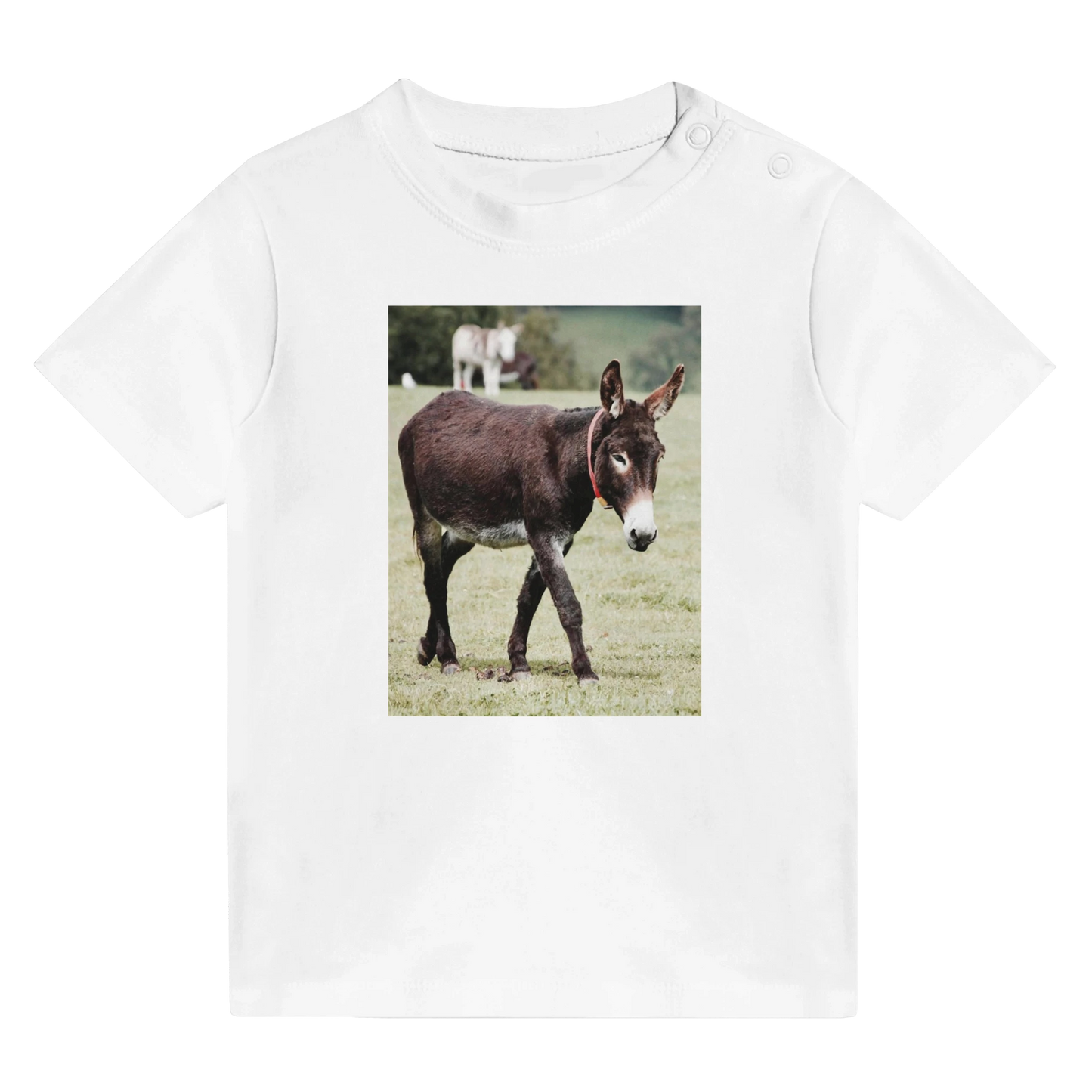 6f72d41a-003a-49a5-8620-45f44fd95fca