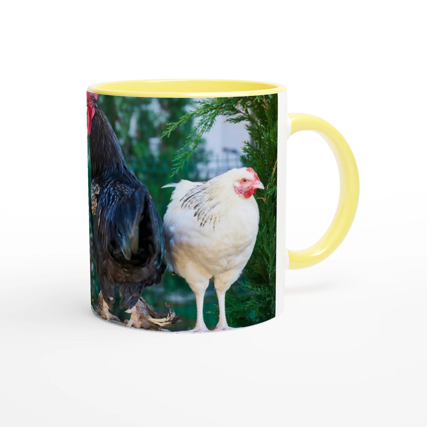 82af81f0-b9d5-426b-ab17-59ff43a428c1