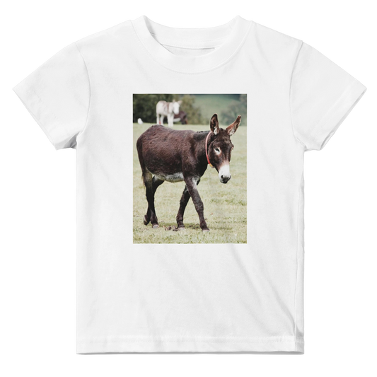 872a141a-0572-4c80-ace8-7e8ae1a03c6f